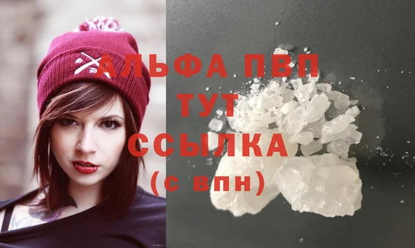 мдпв Магас