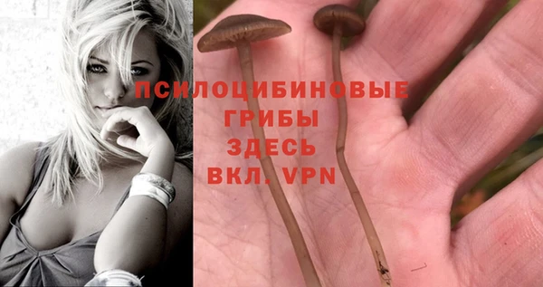 мдпв Магас