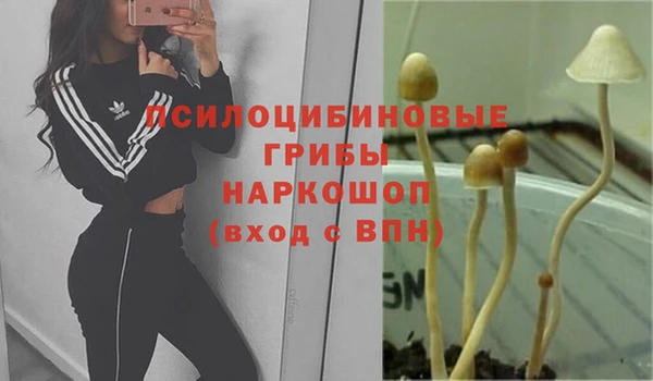 мет Майский