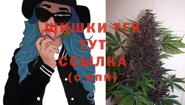 индика Лиски